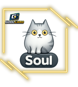سول شات Soul Chat
