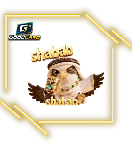 شباب شات SHABAB CHAT