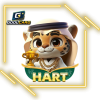 هارت لايف HART LIVE